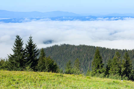 Autumn landscape with fog in the mountains. Fir forest on the hills.の写真素材