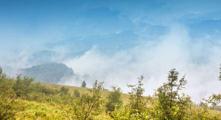 Autumn landscape with fog in the mountains. Fir forest on the hills.の写真素材