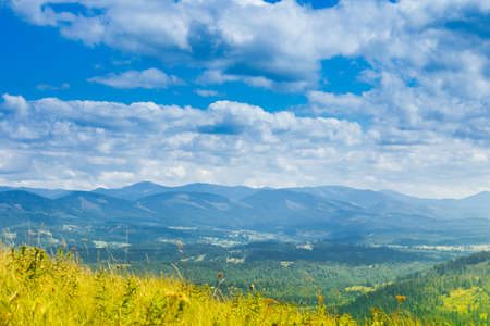Autumn landscape with fog in the mountains. Fir forest on the hills.の写真素材