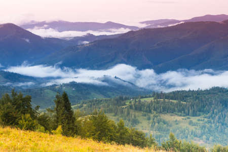 Autumn landscape with fog in the mountains. Fir forest on the hills.の写真素材