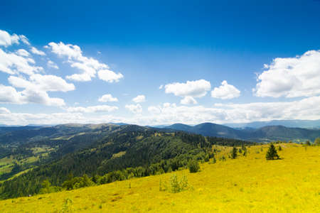 Autumn landscape with fog in the mountains. Fir forest on the hills.の写真素材
