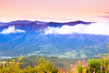 Autumn landscape with fog in the mountains. Fir forest on the hills.の写真素材