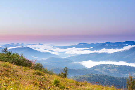 Autumn landscape with fog in the mountains. Fir forest on the hills.の写真素材