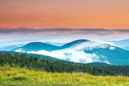 Autumn landscape with fog in the mountains. Fir forest on the hills.の写真素材