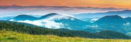 Autumn landscape with fog in the mountains. Fir forest on the hills.の写真素材