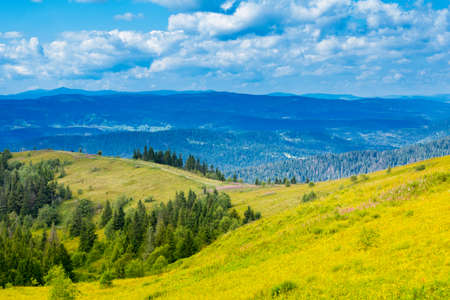 Autumn landscape with fog in the mountains. Fir forest on the hills.の写真素材