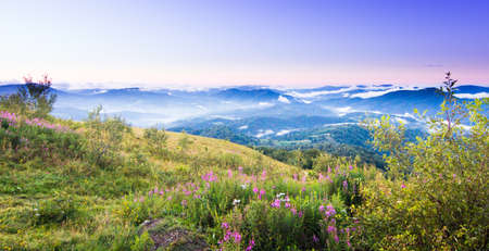 Autumn landscape with fog in the mountains. Fir forest on the hills.の写真素材