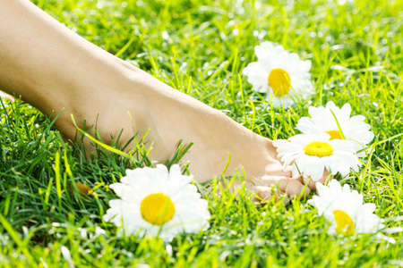 Photo of cute blond female laying down on chamomile field and looking up in sky, sunny day, warm weather, spring holiday and vacation, pretty woman enjoying beautiful nature, daisy fieldの写真素材
