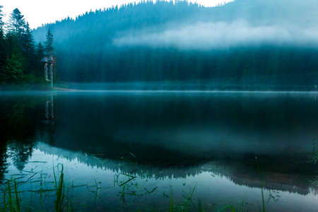 Beautiful nature and a wonderful landscape with lush green forests and vegetation around the pearl of the Carpathians - Lake Synevyr. Carpathians in Ukraine. Mystical fog over the great firs.の写真素材