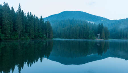 Beautiful nature and a wonderful landscape with lush green forests and vegetation around the pearl of the Carpathians - Lake Synevyr. Carpathians in Ukraine. Mystical fog over the great firs.の写真素材