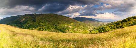 Wonderful panoramic view field of wild flowers by summertime. Area of the Carpathian Mountains above Kamyanka Mountain, Synevir pass. Ukraine.の写真素材