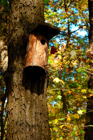A birdhouse hangs on a tree in the forest. Landscape with a birds house on an oak trunkの写真素材