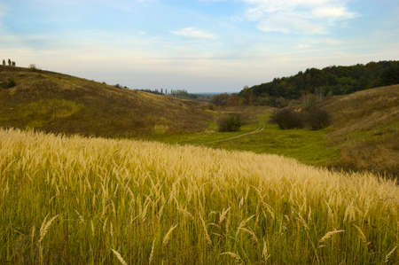 Autumn landscape. A depression in the ground between hills.の写真素材