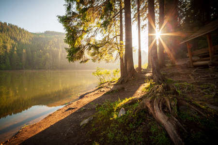 Beautiful nature and a wonderful landscape with lush green forests and vegetation around the pearl of the Carpathians - Lake Synevyr. Carpathians in Ukraine. Mystical fog over the great firs.の写真素材