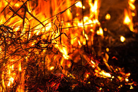 It trawls at night, emitting many greenhouse gases into the air, posing a threat to the environmentの写真素材