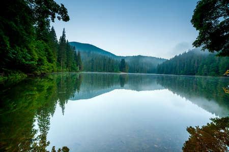 Beautiful nature and a wonderful landscape with lush green forests and vegetation around the pearl of the Carpathians - Lake Synevyr. Carpathians in Ukraine. Mystical fog over the great firs.の写真素材