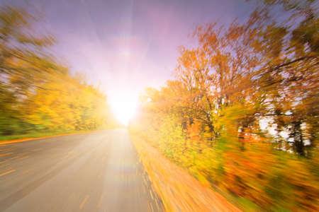 Slippery wet road surrounded by beautiful yellow autumn trees, fog ahead. Beautiful autumn season