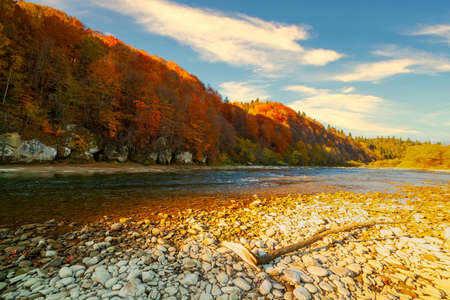 View of the waterfall in autumn. Waterfall in autumn colors. Mountain river in the autumn landscape. Ukraine, river Stryj.の写真素材
