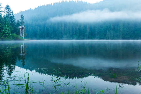 Beautiful nature and a wonderful landscape with lush green forests and vegetation around the pearl of the Carpathians - Lake Synevyr. Carpathians in Ukraine. Mystical fog over the great firs.の写真素材