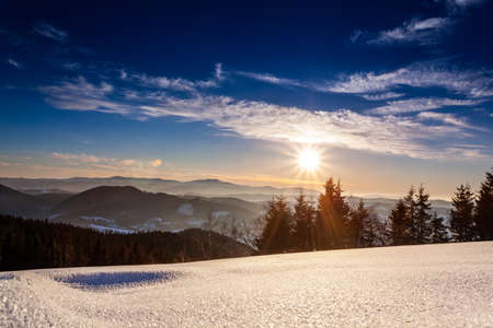 Mountain Winter Landscape. Spruce Tree Forest Covered by Snow in Winter Landscapeの写真素材