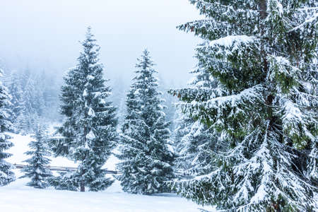 Beautiful winter landscape with snow covered trees. Winter mountains.の写真素材