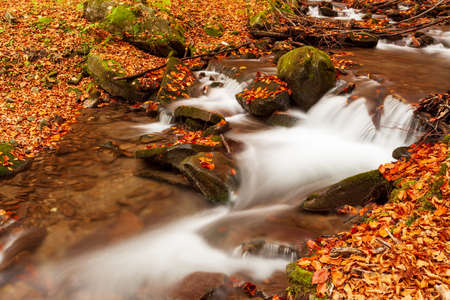 Ukpaine. Waterfall among the mossy rocks. Beautiful landscape rapids on a mountains river in autumn forest in carpathian mountains at sunset. Silver stream in National park Shypit Carpat. Pilipets.の写真素材