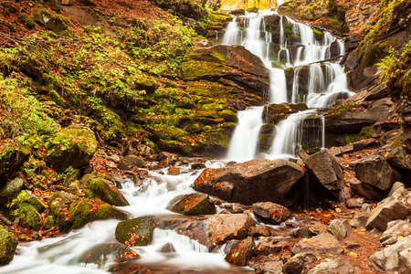Ukpaine. Waterfall among the mossy rocks. Beautiful landscape rapids on a mountains river in autumn forest in carpathian mountains at sunset. Silver stream in National park Shypit Carpat. Pilipets.の写真素材