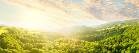 Aerial view of the endless lush pastures of the Carpathian expanses and agricultural land. Cultivated agricultural field. Rural mountain landscape at sunset. Ukraine.の写真素材
