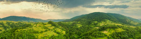 Aerial view of the endless lush pastures of the Carpathian expanses and agricultural land. Cultivated agricultural field. Rural mountain landscape at sunset. Ukraine.の写真素材