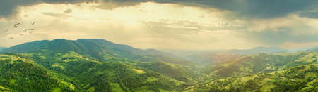 Aerial view of the endless lush pastures of the Carpathian expanses and agricultural land. Cultivated agricultural field. Rural mountain landscape at sunset. Ukraine.の写真素材