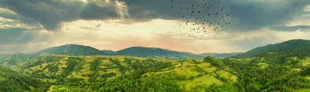 Aerial view of the endless lush pastures of the Carpathian expanses and agricultural land. Cultivated agricultural field. Rural mountain landscape at sunset. Ukraine.の写真素材
