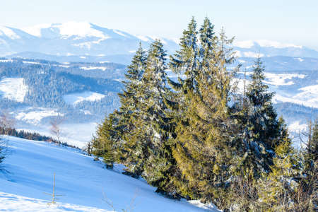 Beautiful winter landscape with snow covered trees. Winter mountains.の写真素材