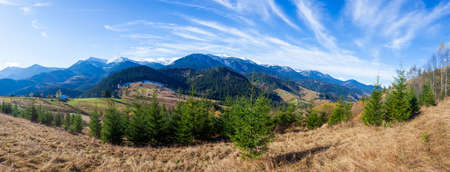 Wonderful beautiful landscape with mountains forest and meadow with trees in Carpathian mountains, Ukraine.の写真素材