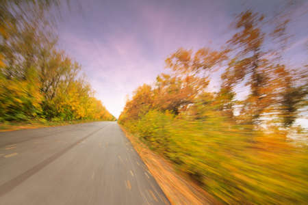 Slippery wet road surrounded by beautiful yellow autumn trees, fog ahead. Beautiful autumn seasonの写真素材