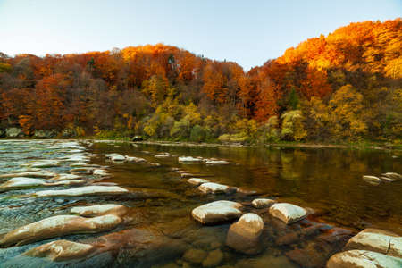 View of the waterfall in autumn. Waterfall in autumn colors. Mountain river in the autumn landscape. Ukraine, river Stryj.の写真素材