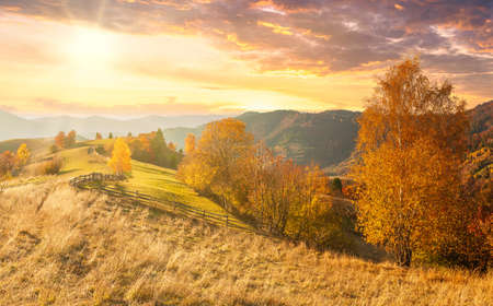 Ukraine. Warm autumn in a village. Picturesque beech, birch and pine forests and Hutsul houses against the backdrop of the Synevyr Pass ridge are very beautiful with bright colors after a fine day.の写真素材
