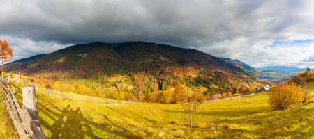 Magical yellow trees glowing in the sun. Wonderful unusual and beautiful scene. Tourist attraction. Location Carpathian mountains, Ukraine. World of beauty.の写真素材