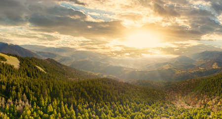 Ukraine. Sunrise shines in the Carpathians, colored fog spreads over the valleys and lowlands of the mountain range, golden prairies are very dazzlingly beautiful.の写真素材
