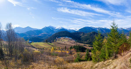 Wonderful beautiful landscape with mountains forest and meadow with trees in Carpathian mountains, Ukraine.の写真素材
