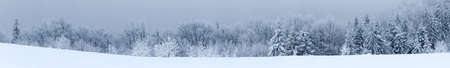 Fantastic winter landscape with snowy trees. Carpathians, Ukraine, Europeの写真素材