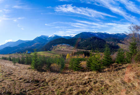 Wonderful beautiful landscape with mountains forest and meadow with trees in Carpathian mountains, Ukraine.の写真素材