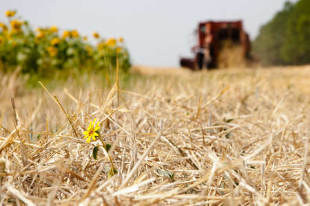 Modern tractor in the field with complex for the plowing. The concept of work in a fields and agriculture industry.の写真素材