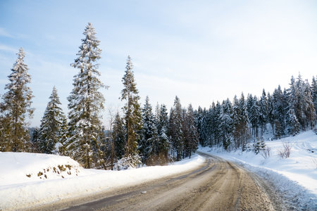 Carpathian mountains, Ukraine. Beautiful scenery of snowy mountainsの写真素材