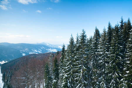 Carpathian mountains, Ukraine. Beautiful winter landscape. The forrest ist covered with snow.の写真素材