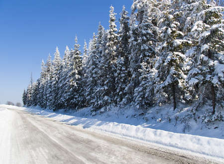 Carpathian mountains, Ukraine. Beautiful scenery of snowy mountainsの写真素材