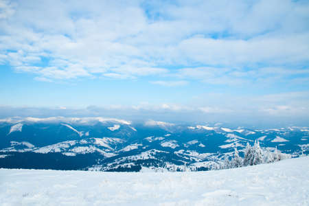 Carpathian mountains, Ukraine. Beautiful winter landscape. The forrest ist covered with snow.