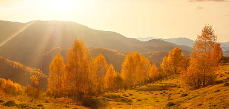 Ukraine. Warm autumn in a village. Picturesque beech, birch and pine forests and Hutsul houses against the backdrop of the Synevyr Pass ridge are very beautiful with bright colors after a fine day.の写真素材