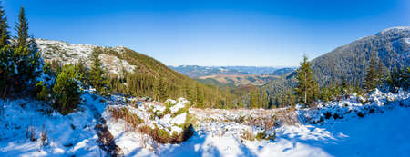 Ukraine. A picturesque view of the mountains, overgrown with forest and covered with snow. Landscape with Carpathian mountains and white snow. Beautiful winter panorama of mountains and snow.の写真素材