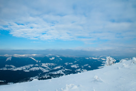 Carpathian mountains, Ukraine. Beautiful winter landscape. The forrest ist covered with snow.の写真素材