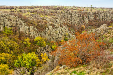 A large number of stone minerals covered with green vegetation lying above a small river in picturesque Ukraine and its beautiful natureの写真素材